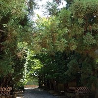 招福樓 本店 - 
