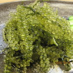すし処　巌 - 海ブドウ