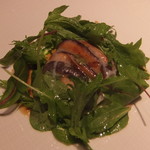 レストラン リューズ -  新潟魚沼産 八色椎茸をタルト仕立てに ラルドの薄いベールで覆って 