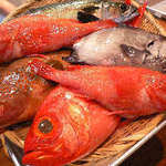 Tempura Kappou Usagi - 築地市場から新鮮な魚や野菜を厳選。食材の美味しさをご提供。