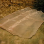 なかざわ - 【H22.10】ひらめです。