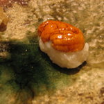 なかざわ - 【H22.10】雲丹です。