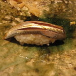 なかざわ - 【H22.10】小鰭です。