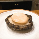 初音鮨 - 900g級の鮑