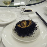 天天渔港 - 俗にゆーウニ