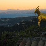 La Chevre d’Or - 【Chevre d'Or"】