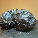 松川 - 賀茂茄子がめっちゃ大きい