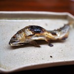 松川 - 美山産鮎