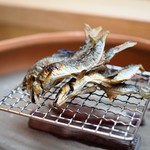 松川 - 美山産鮎