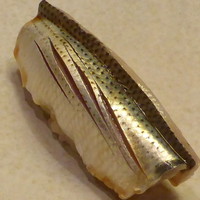 すし処 みや古分店 - 