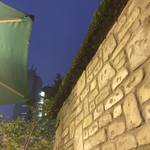 プチガーデン下北沢 - 自然発生した苔（コケ）雨上がりには青々と元気です