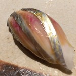 すし匠 まさ - H28.7 ニシン