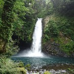 レストランダイニング富士 - 浄蓮の滝