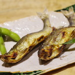 川原町 泉屋 - 料理写真:天然鮎の塩焼き