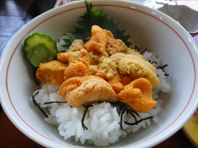 うみ音 ウミネ 鮫 カフェ 食べログ