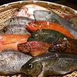 産地直送 お魚とお野菜 海畑 - 南房総沖での釣り魚！新鮮そのもの！！