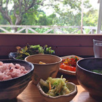 オリーブの木 - 