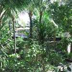 Conrad Suites Lounge - 