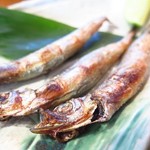 Sushi Hokkaido Sachi - ししゃも