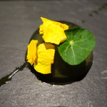 セララバアド - 花蜜　トマト