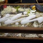 セララバアド - 渚