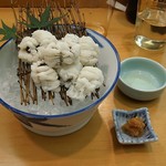 浅草じゅうろく - 鱧の湯引き