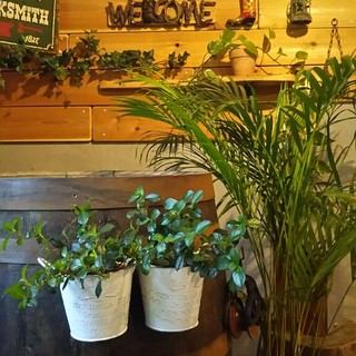 ミルフォニープラスドッグ_2