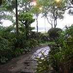 森のおはな - 店舗までのアプローチ