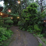 森のおはな - 店舗までのアプローチ