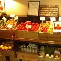やさい家めい 表参道ヒルズ本家 - YasaiyaMei01