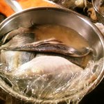 寿屋酒店 - 仕込んである鯵酢