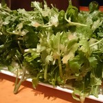 ビストロ シン 2 - ルッコラ・クレソン・パクチーてんこ盛りサラダ