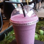 Nicolai Bergmann NOMU - 