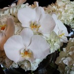 Nicolai Bergmann NOMU - 