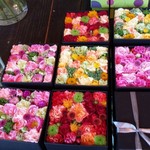 Nicolai Bergmann NOMU - 