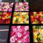 Nicolai Bergmann NOMU - 