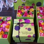 Nicolai Bergmann NOMU - 