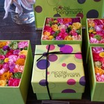 Nicolai Bergmann NOMU - 