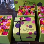 Nicolai Bergmann NOMU - 