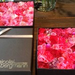 Nicolai Bergmann NOMU - 