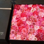 Nicolai Bergmann NOMU - 