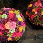 Nicolai Bergmann NOMU - 