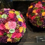 Nicolai Bergmann NOMU - 