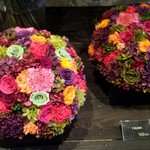 Nicolai Bergmann NOMU - 