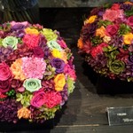 Nicolai Bergmann NOMU - 