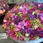 Nicolai Bergmann NOMU - 