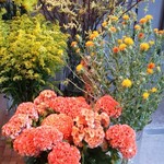 Nicolai Bergmann NOMU - 