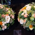 Nicolai Bergmann NOMU - 