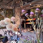 Nicolai Bergmann NOMU - 