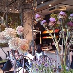 Nicolai Bergmann NOMU - 